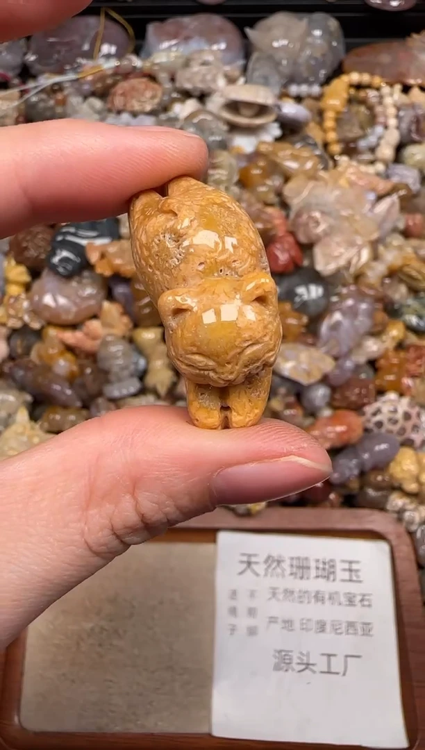 硅化珊瑚（珊瑚玉）未镶嵌颈饰667