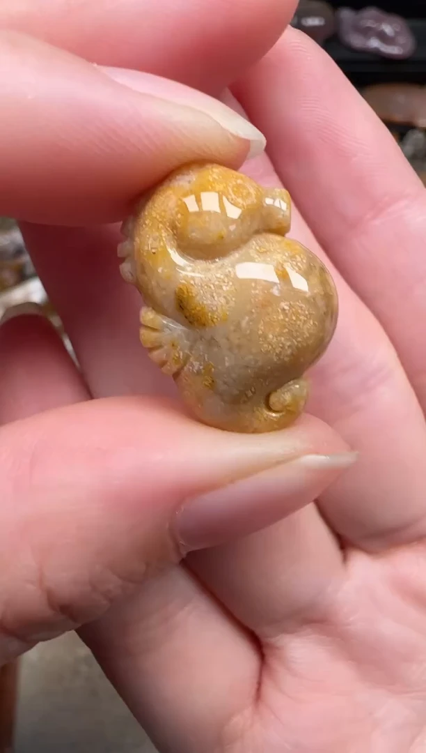 颈饰未镶嵌硅化珊瑚（珊瑚玉）699