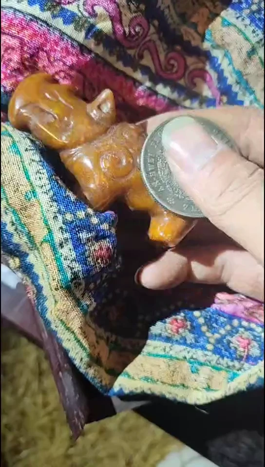 香榧木复利11111111