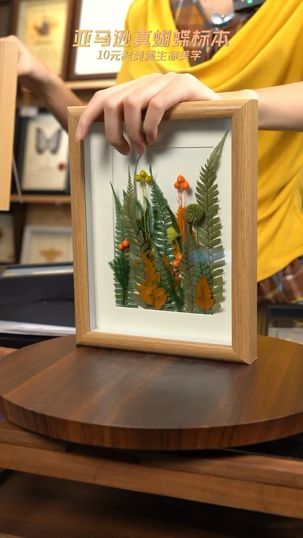 干制植物标本摆件夏