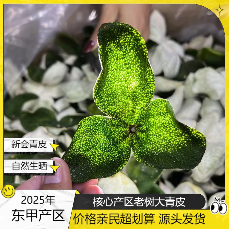2025年青皮新会东甲青皮新会陈皮自然生晒自存青柑皮天然源头好货