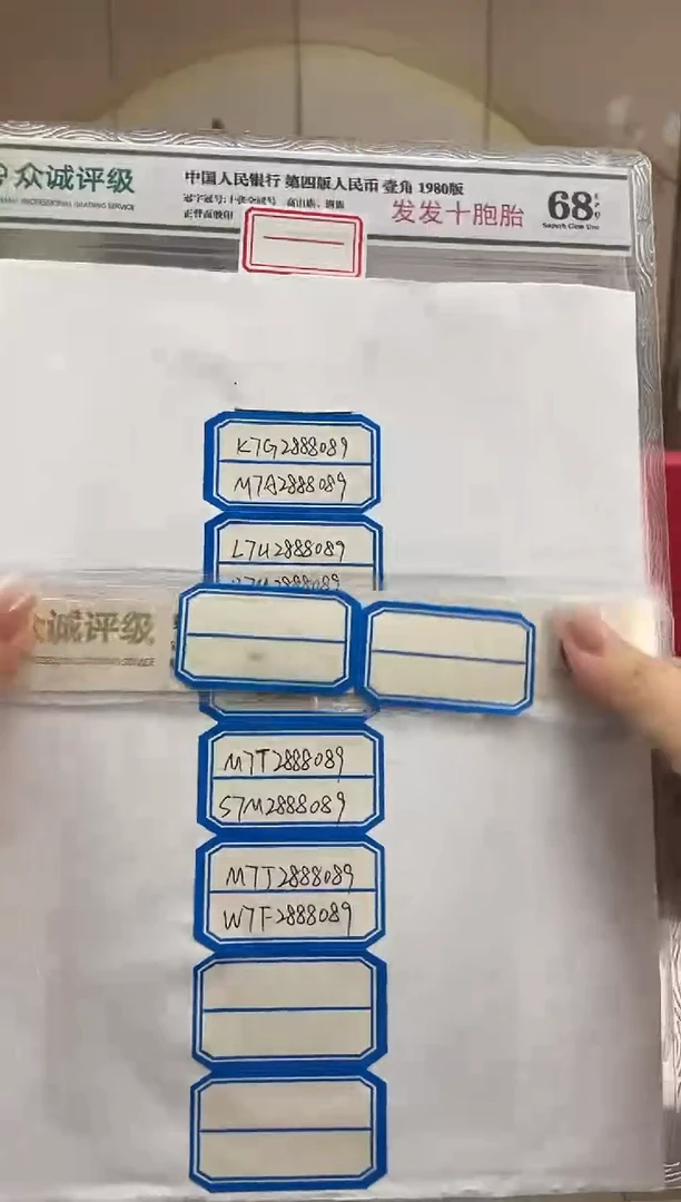 【发发十胞胎】01.全部豹子888 十胞胎！