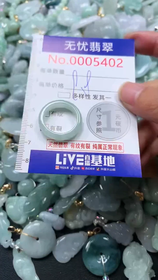 颈饰未镶嵌翡翠5402