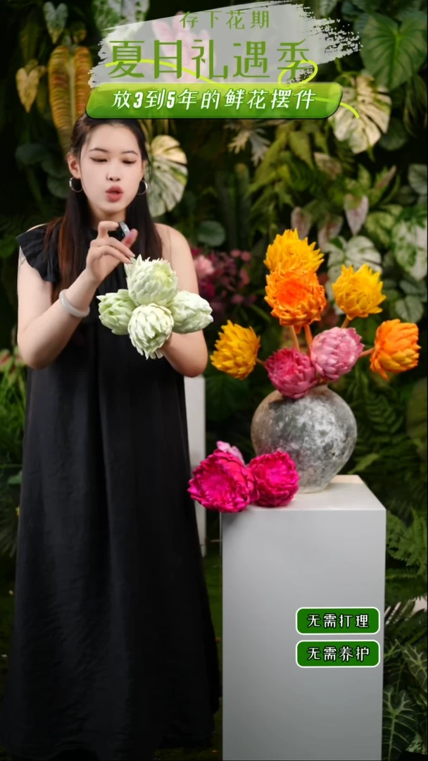 永生花洋蓟5个小头绿色不售后