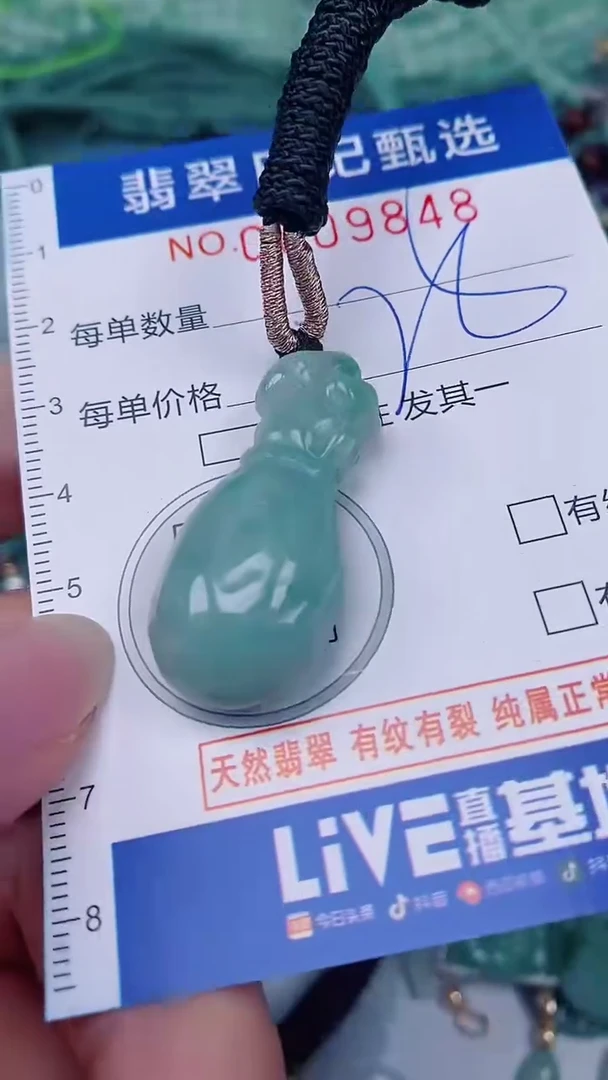 翡翠未镶嵌颈饰00009948