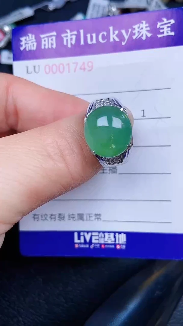 颈饰银S925镶嵌翡翠1749