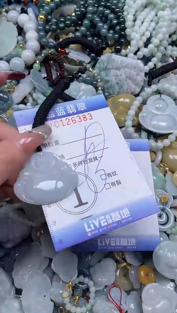 【闪购商品】翡翠颈饰未镶嵌闪购0126383多样性发其一