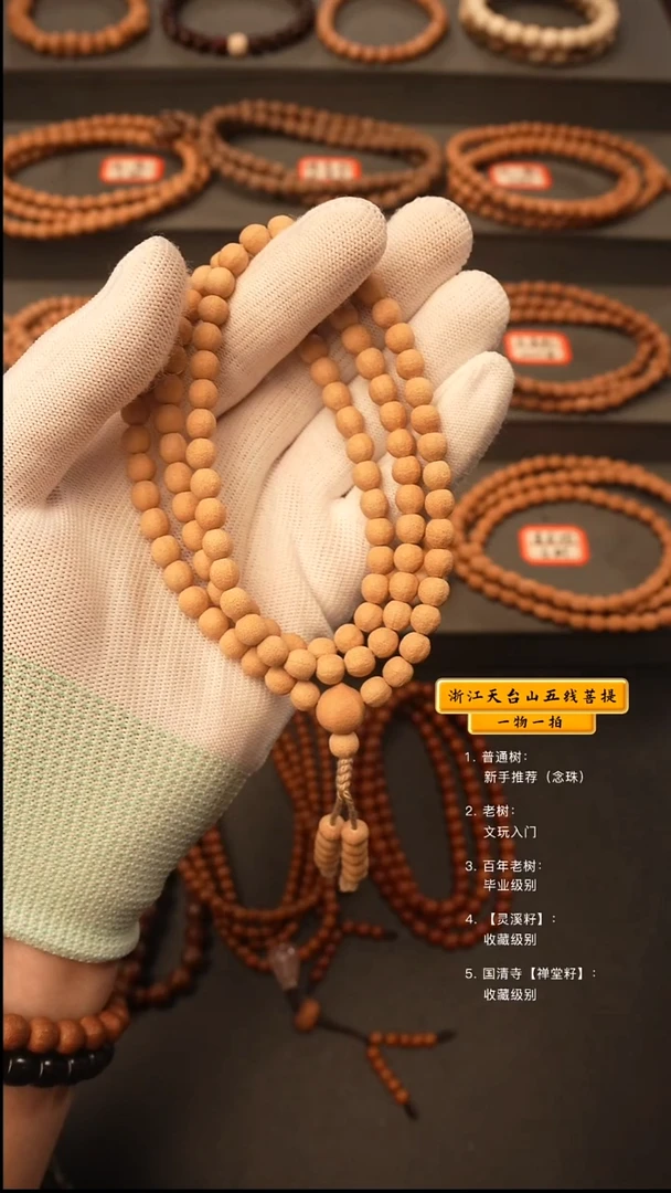 吊坠五线菩提诗****#y脖挂