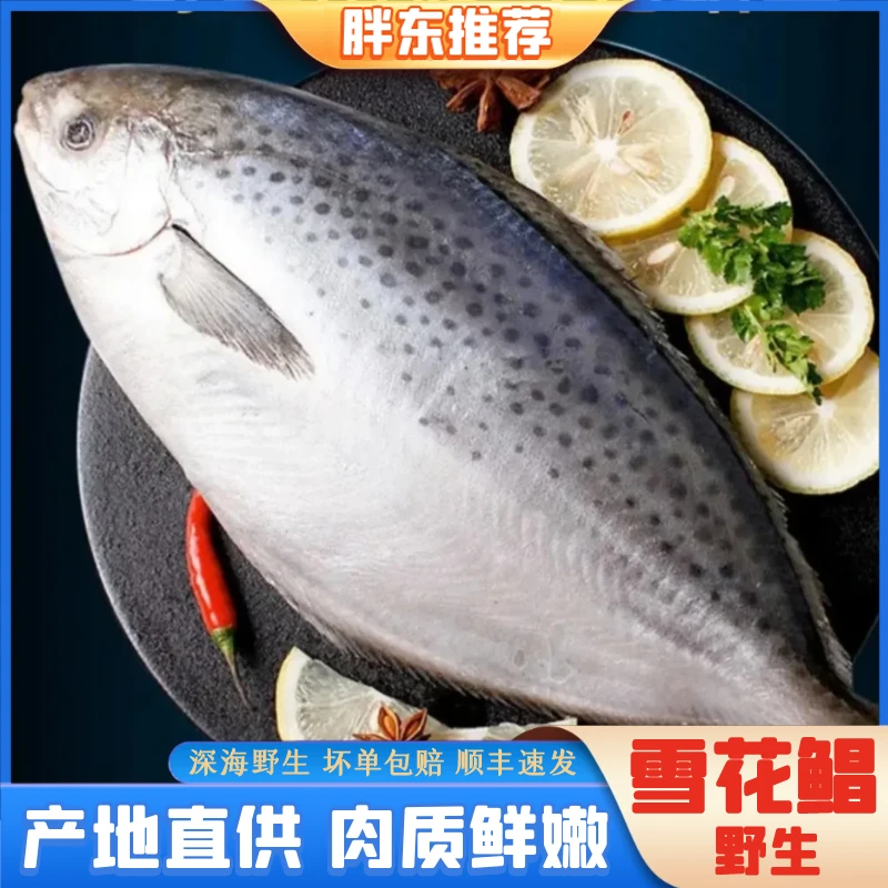 【胖东海鲜】特大号野生南极雪花鲳鱼1-1.4斤/条，共三条不低于3.5斤