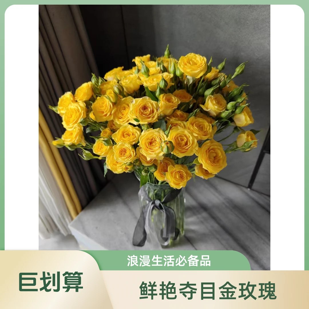 【梦幻芭比5支】春节福利特惠次日达，福建，广东，江浙沪皖，河北，山东，天津，北京地区鲜花专场，今天拍明天到。