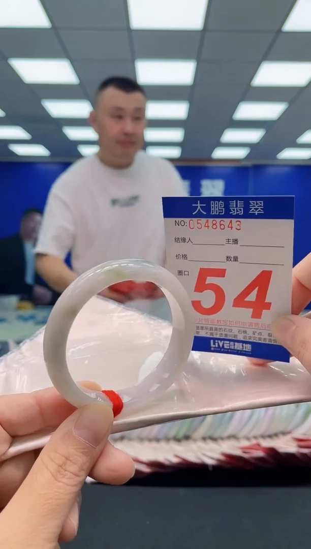 未镶嵌手镯翡翠AAAAAAAAA