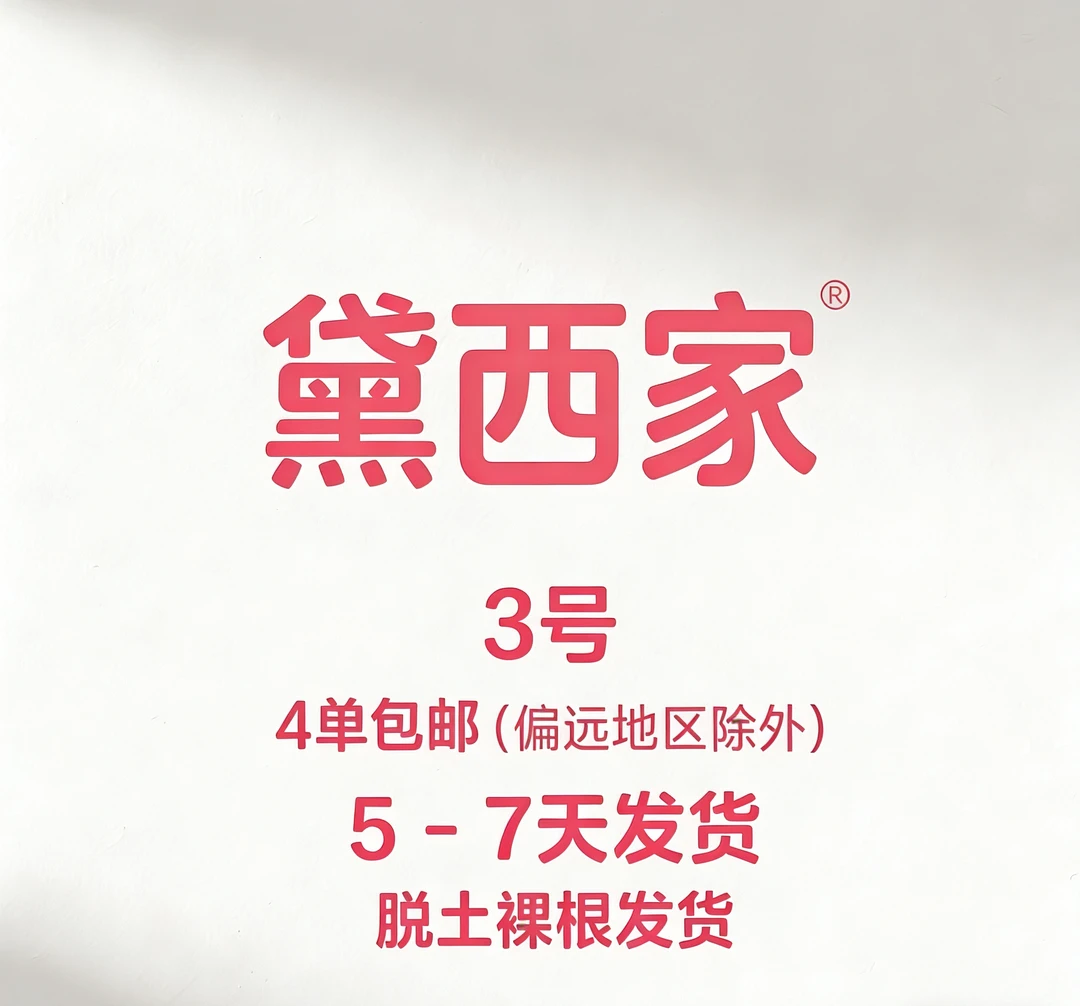 东云系多肉年终福利（401-500）