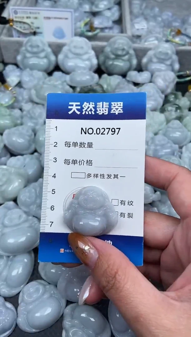 颈饰未镶嵌翡翠纯天然A货翡翠2797
