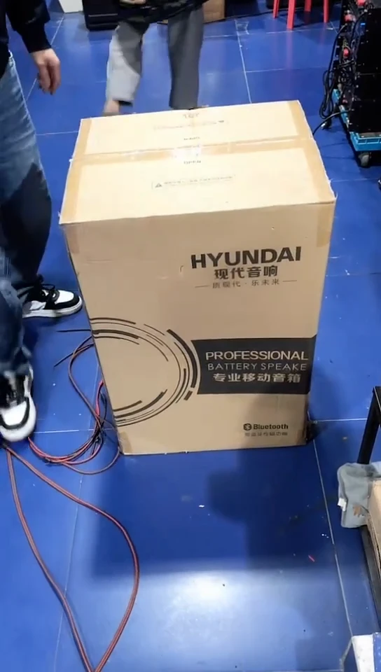 8新现代十五寸拉杠箱一个，出声，随机发货，不退不换