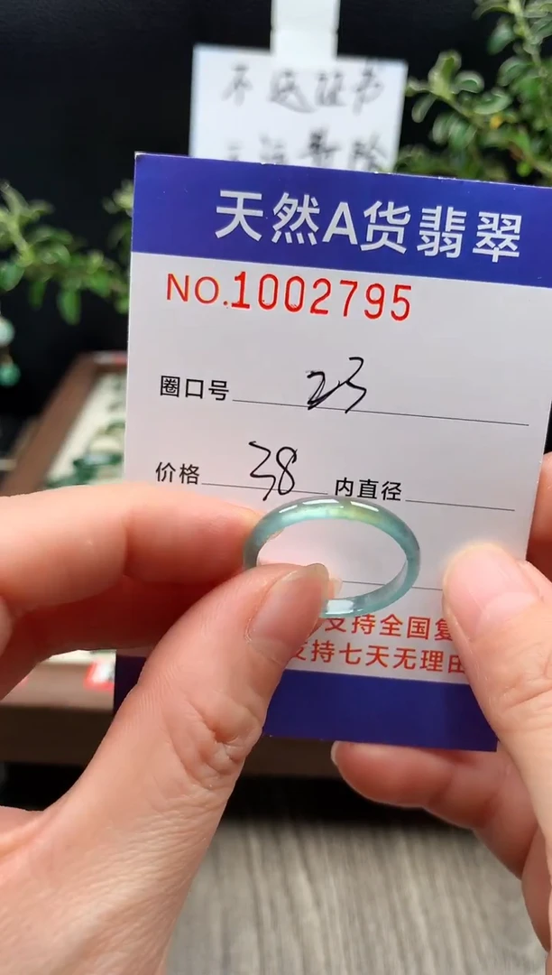 未镶嵌戒指翡翠23#