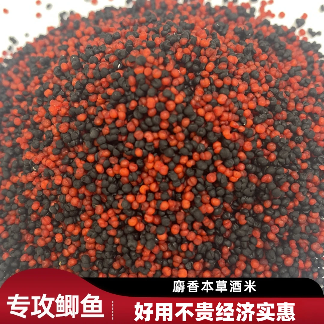 麝香本草酒米纯小米泡制强效诱鱼持久留鱼全水域通用酒米窝料