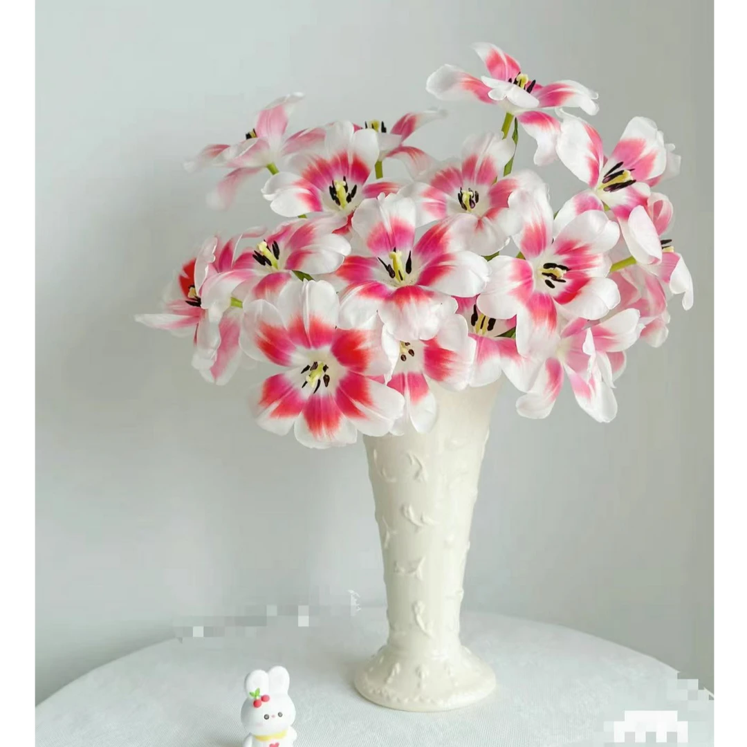 小白兔郁金香（可爱/双色）