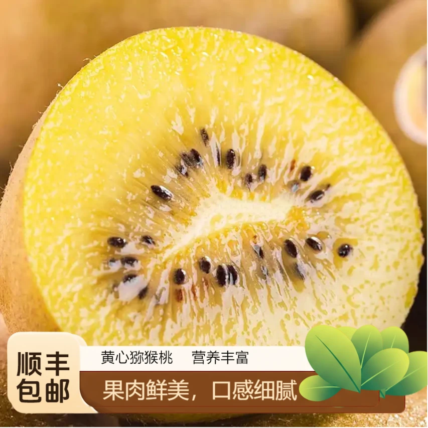 【顺丰包邮】贵州高品质黄心猕猴桃新鲜水果汁多甜蜜现摘现产地直发贵州省