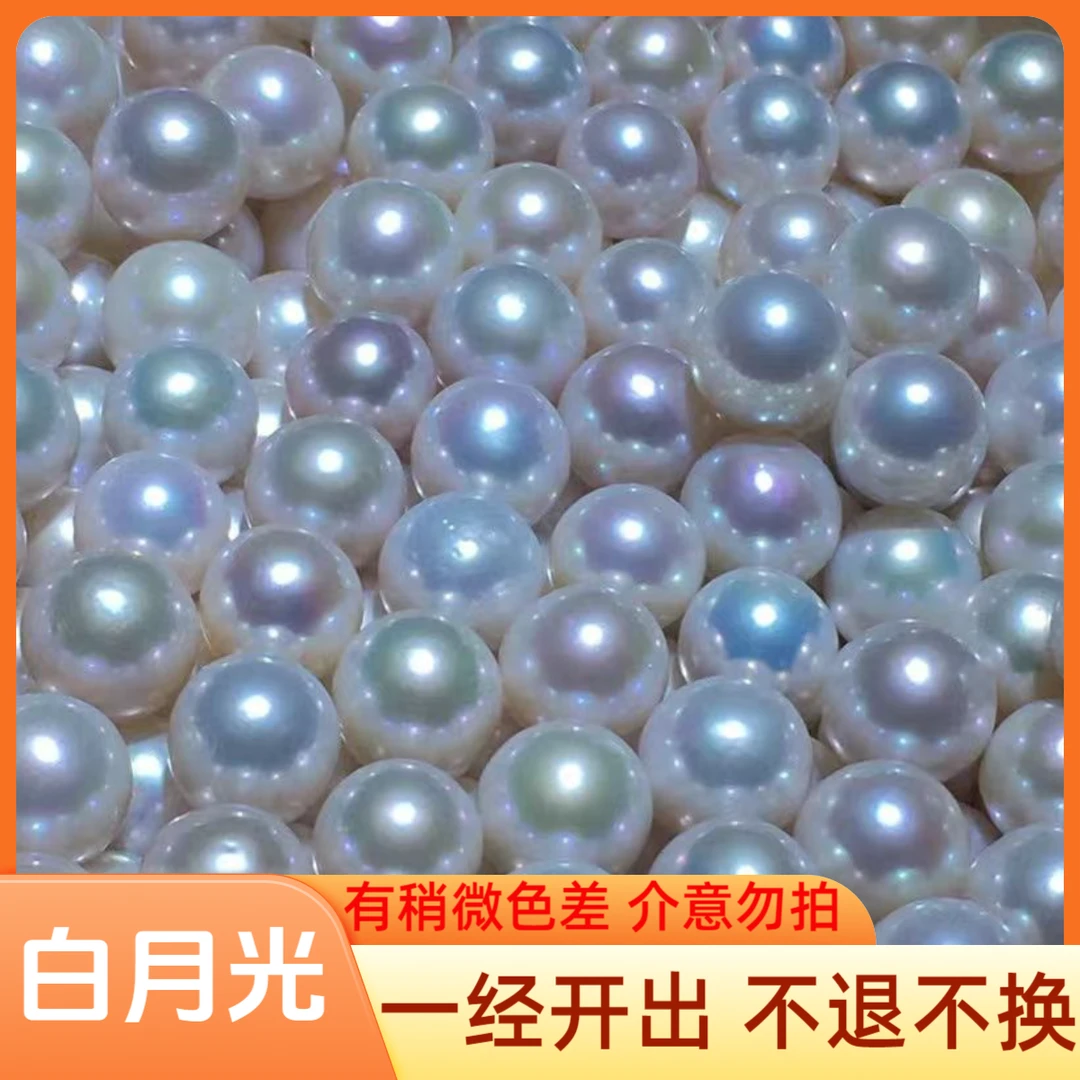 【靓仔专属】新白月光 单珠蚌