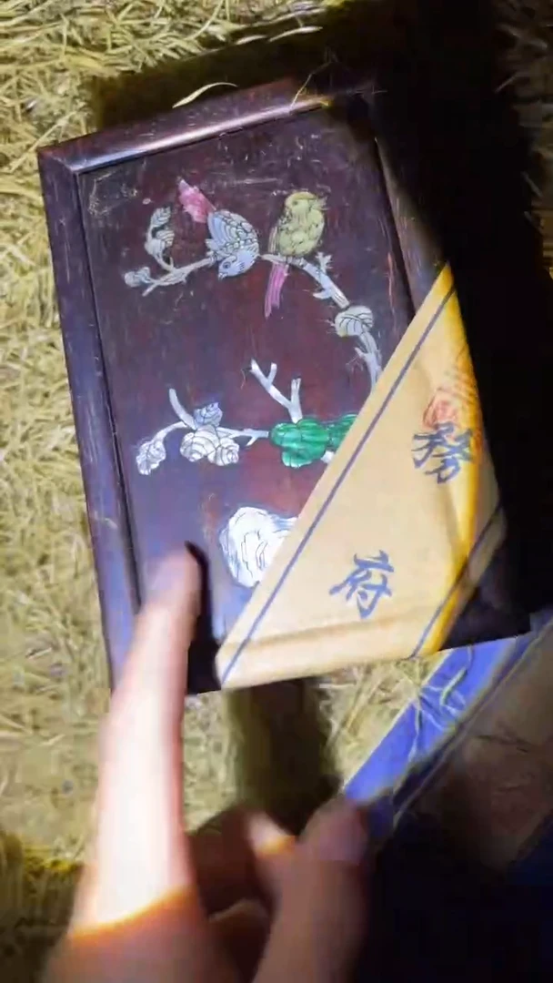 琪琪精品链接66666666