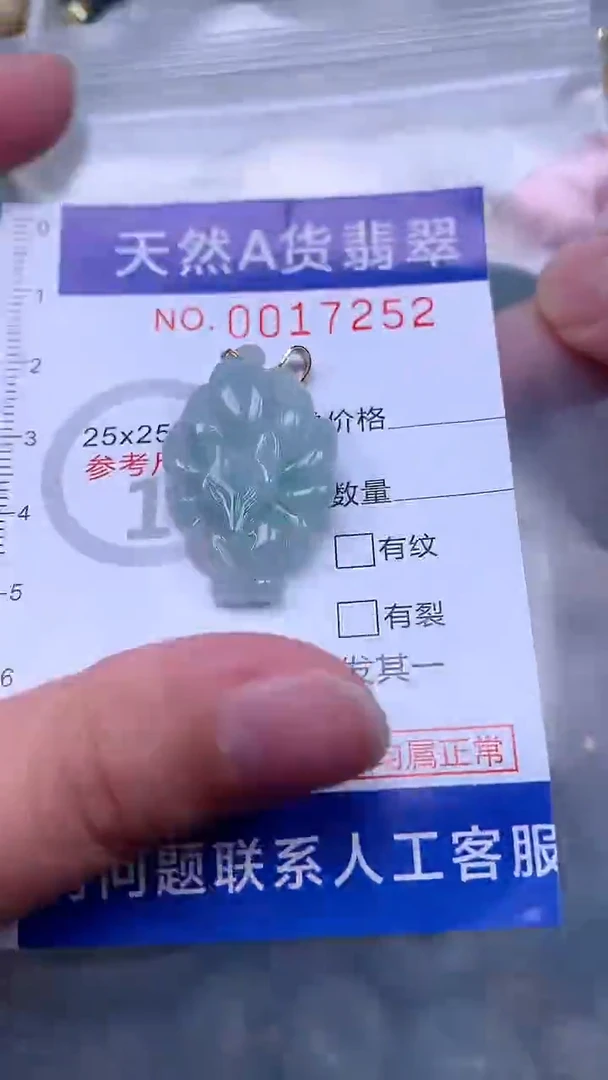 翡翠未镶嵌吊坠(不含链)1