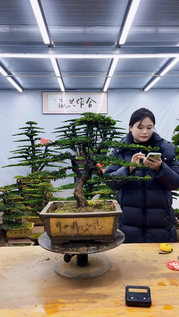 无花朵一物一拍·所见即所得