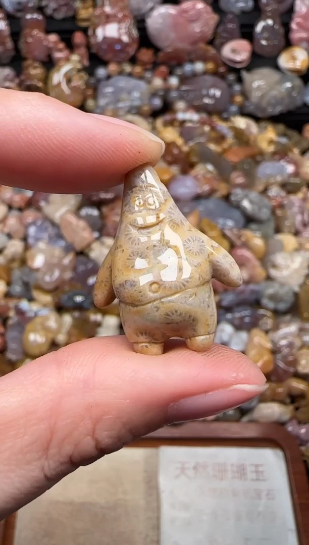 颈饰未镶嵌硅化珊瑚（珊瑚玉）319