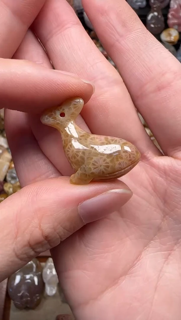 颈饰未镶嵌硅化珊瑚（珊瑚玉）100