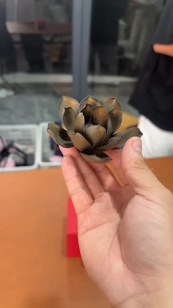 杯杯杯杯杯杯杯杯杯杯杯