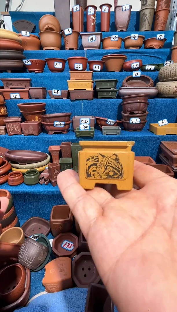 【闪购商品】紫砂紫砂花盆3*4