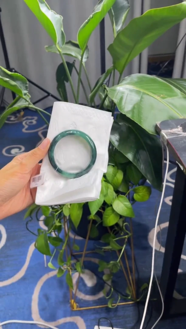 未镶嵌手镯翡翠4880****