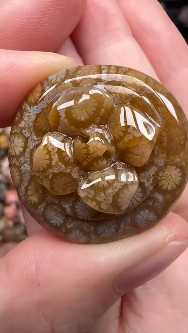 硅化珊瑚（珊瑚玉）未镶嵌颈饰577