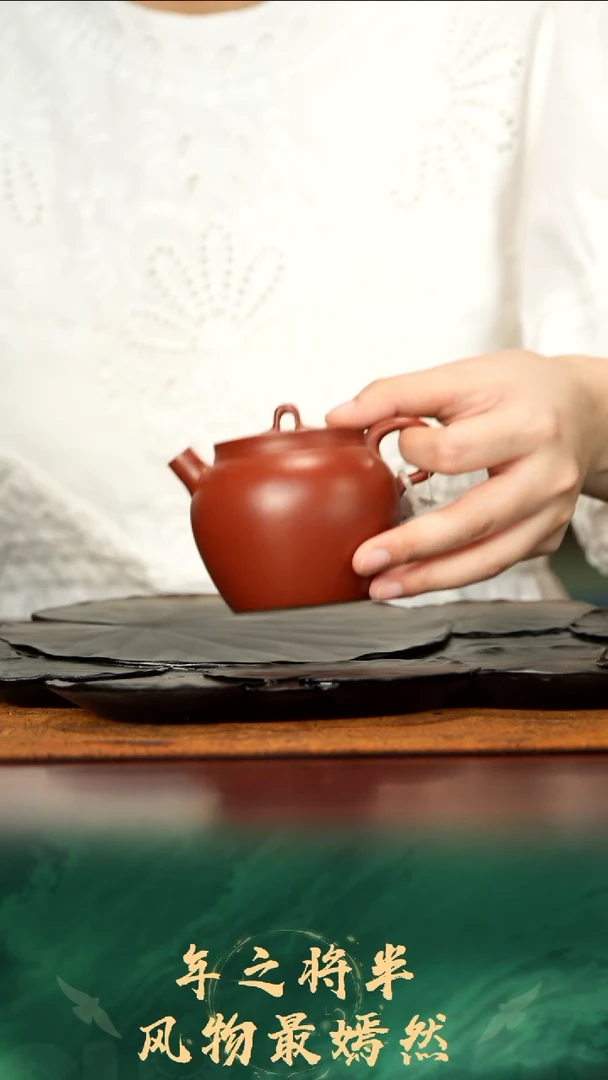 4号TT朱泥汉罐210cc