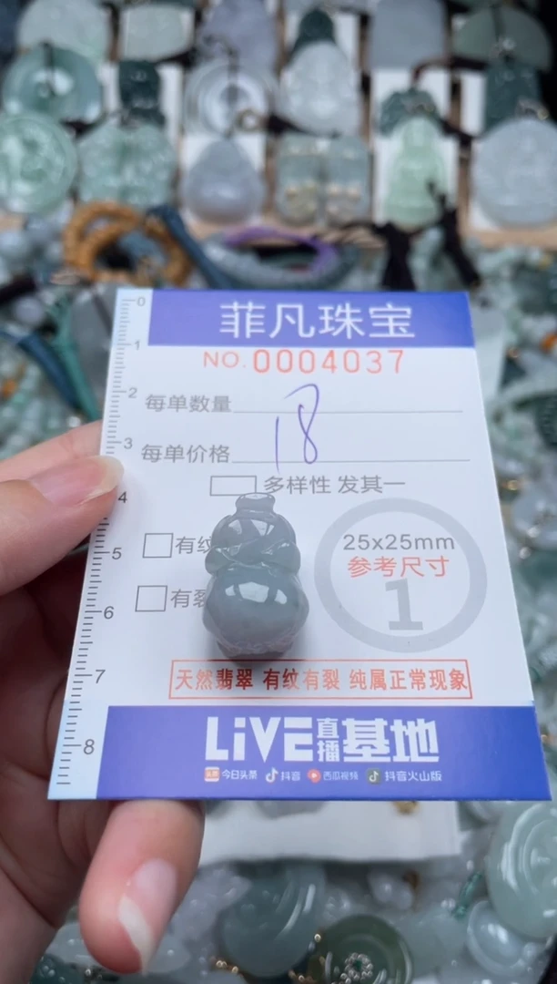 翡翠未镶嵌颈饰00..4037