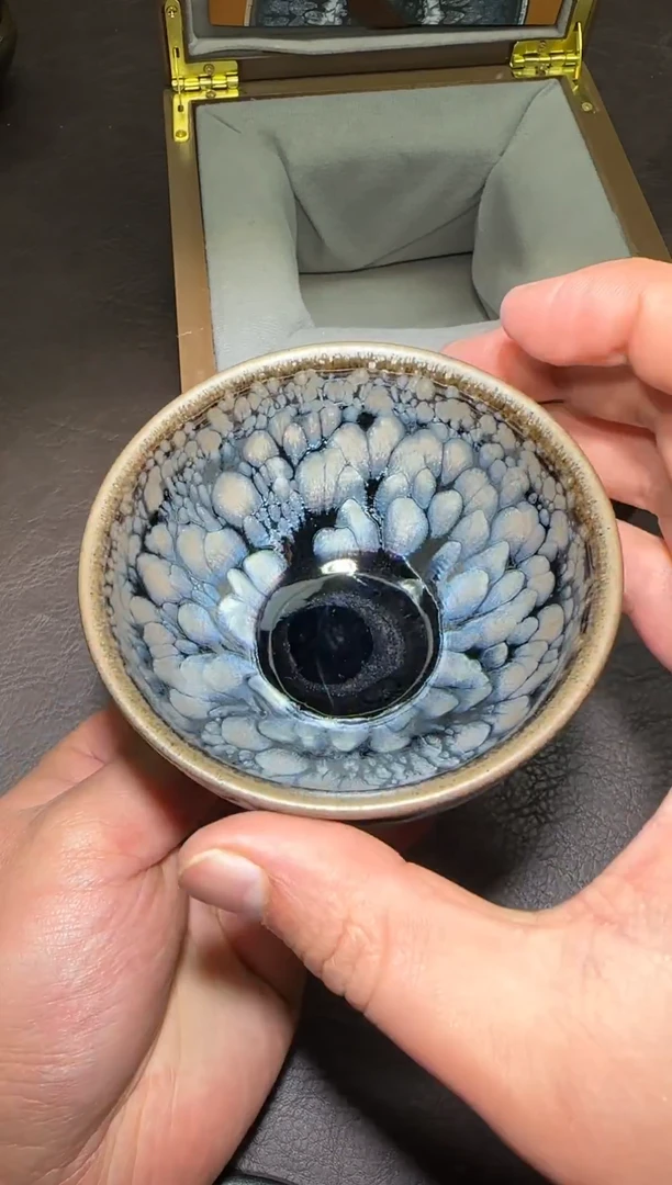 茶盏174号林健锋