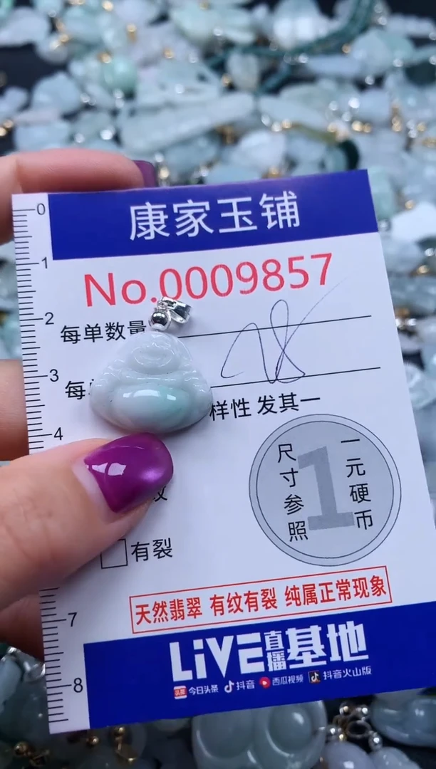 颈饰未镶嵌翡翠9857