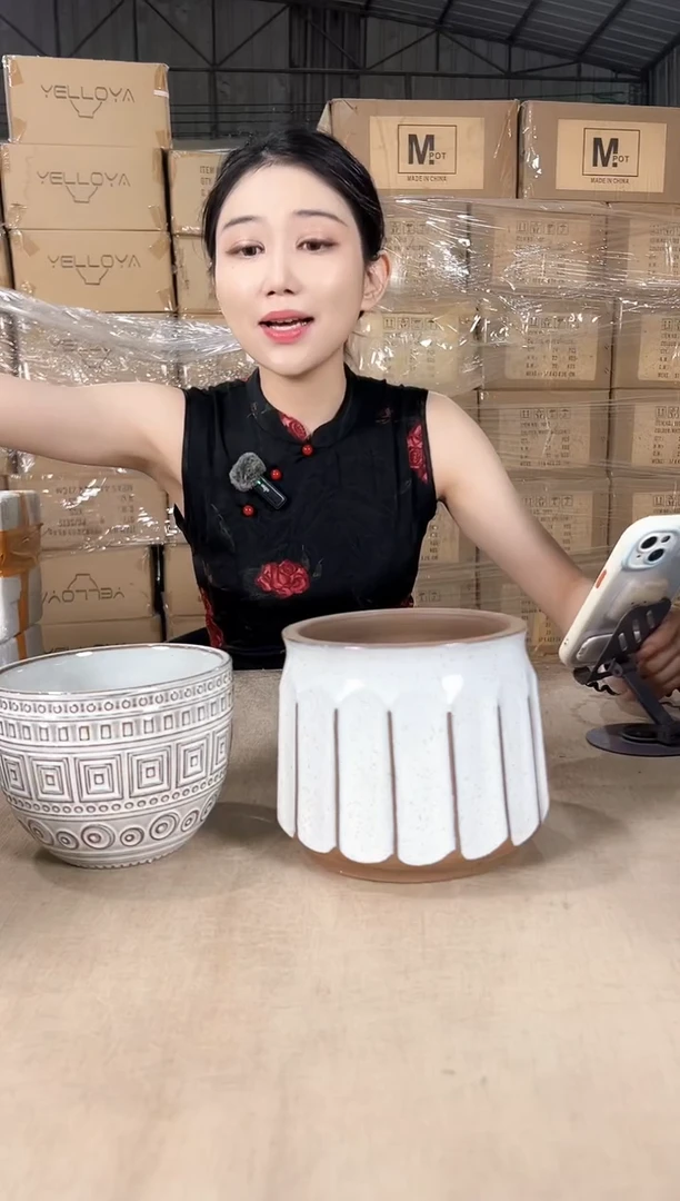 南瓜条纹白色+圆筒字格