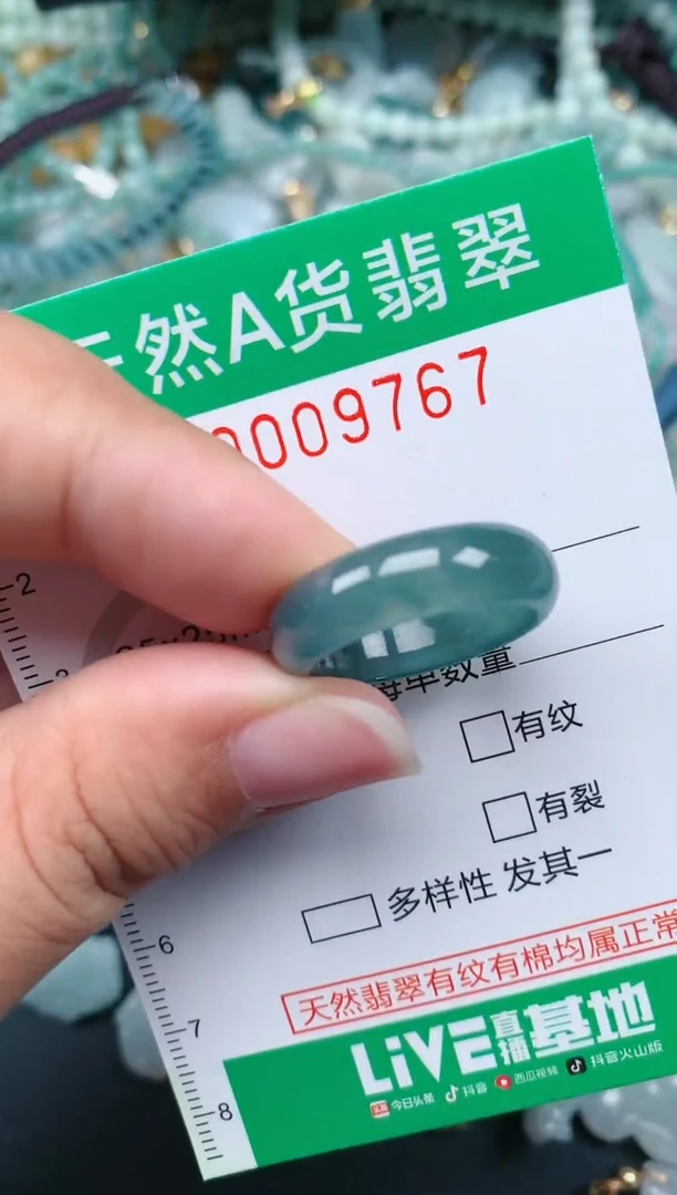 翡翠未镶嵌颈饰.0009767