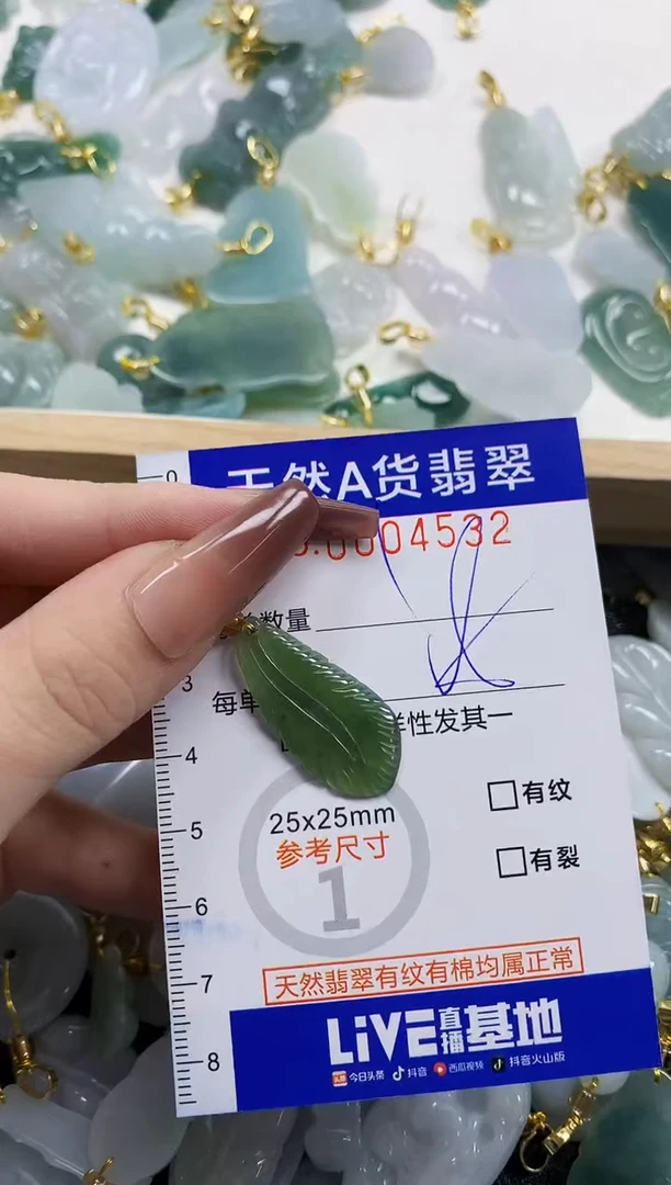 颈饰未镶嵌翡翠天然A货翡翠