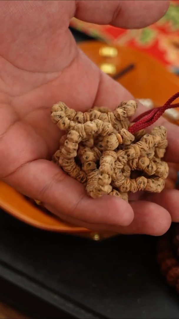 柏香籽/百香籽吊坠?****士麒麟大肠