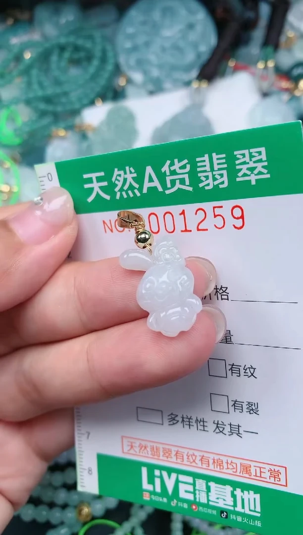 颈饰未镶嵌翡翠.0001259