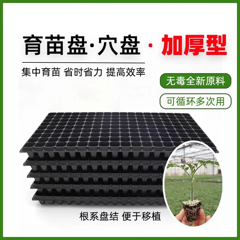 营养钵育苗盘育苗盆穴盘塑料杯多肉种植蔬菜育种扦插营养杯育苗盒