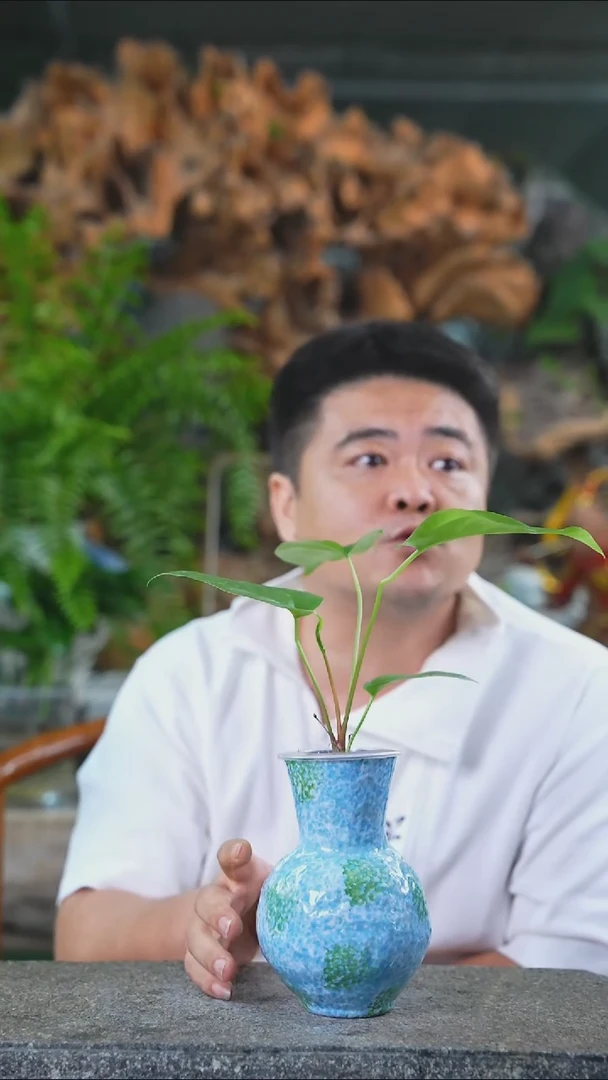 完全开放花烛189T