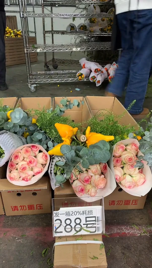 288号♥中通含20%耗损发一箱