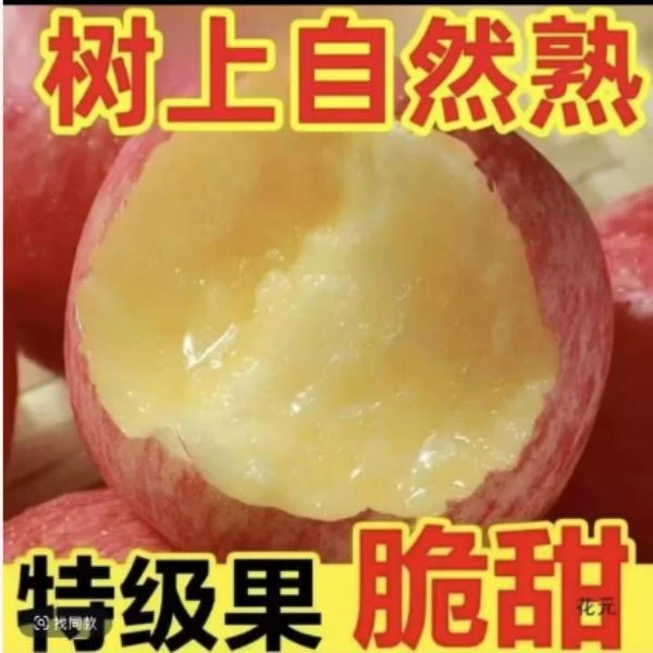 Q陕西高山红富士苹果新鲜当季脆甜多汁爽口水果