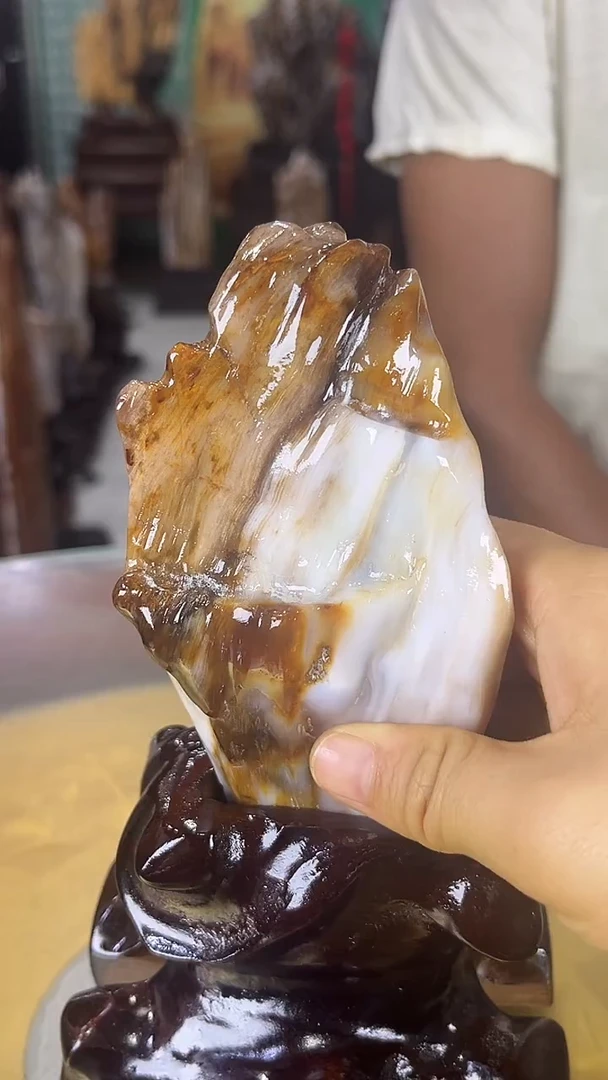 未镶嵌珠宝奇石硅化玉缅甸天然树化玉摆件