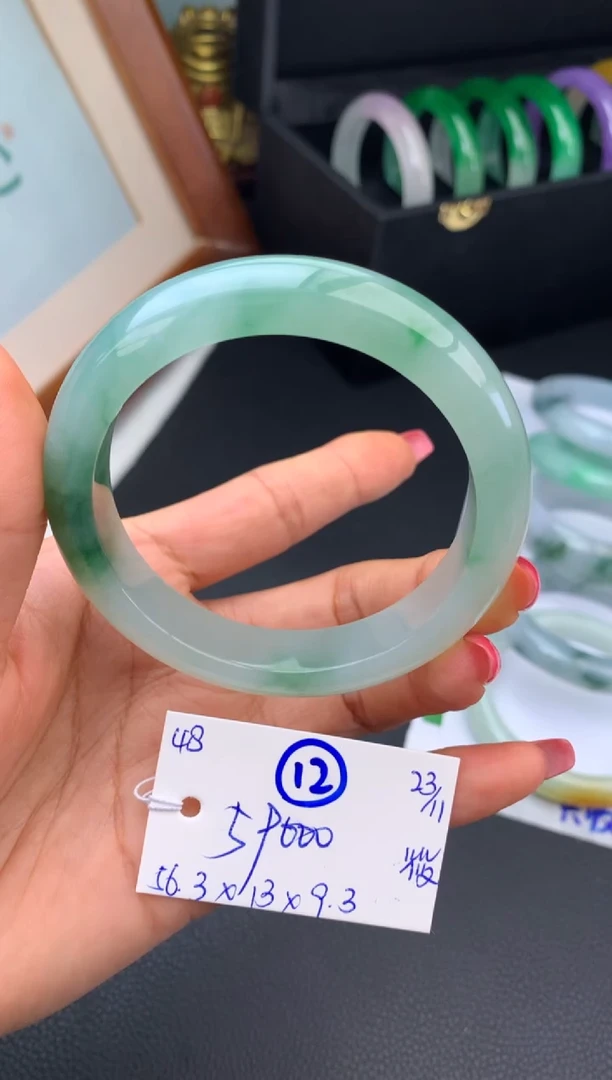 未镶嵌手镯翡翠假一赔三   手镯