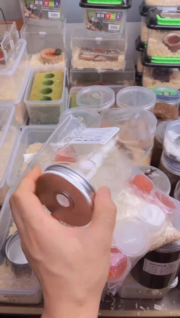 美他幼虫专用无忧罐1个装满木屑