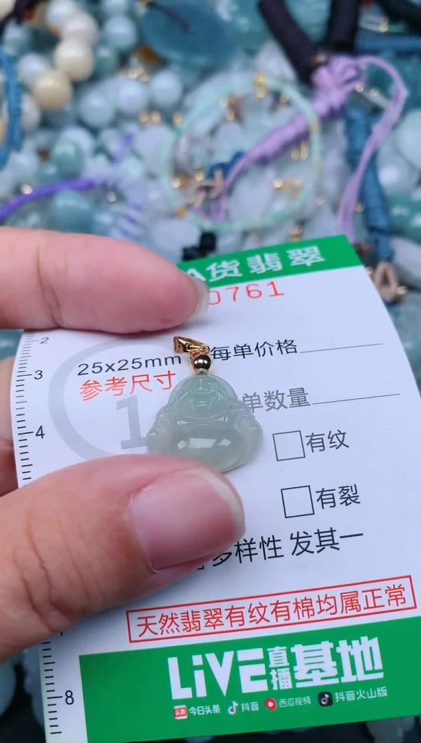 翡翠未镶嵌颈饰.0000761