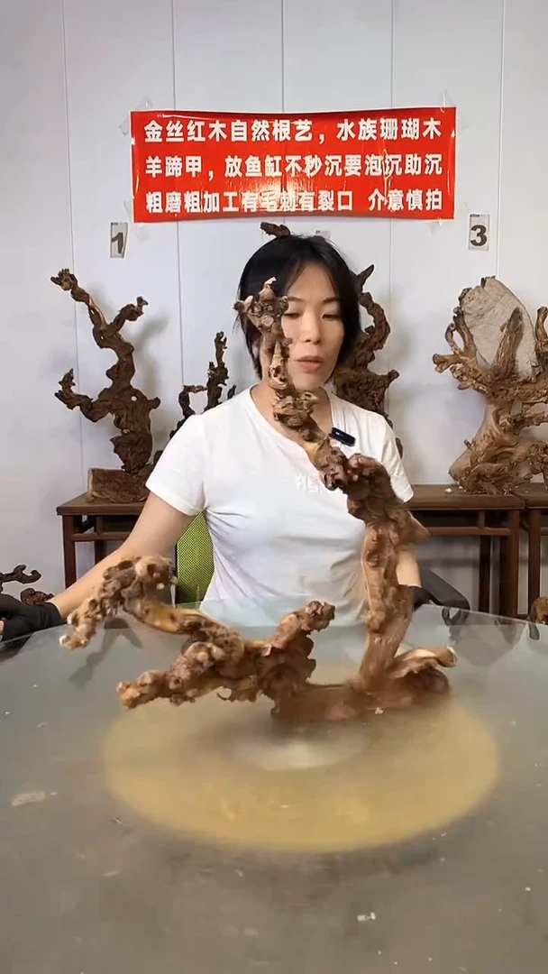 香榧木嘉****艺金丝红木 羊蹄甲